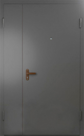 Фото двери «Техническая дверь №6 полуторная» в Самаре